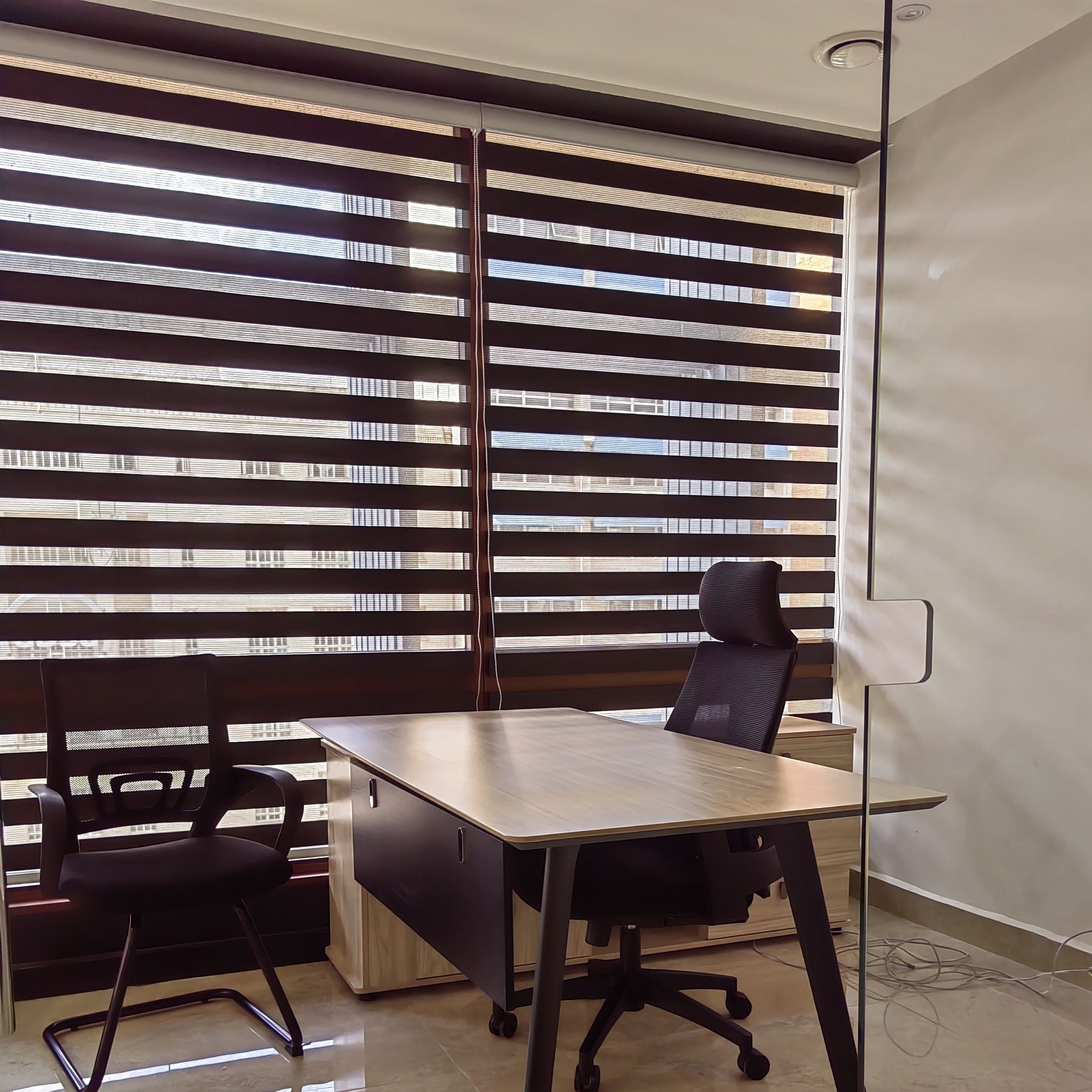 Zebra Blinds