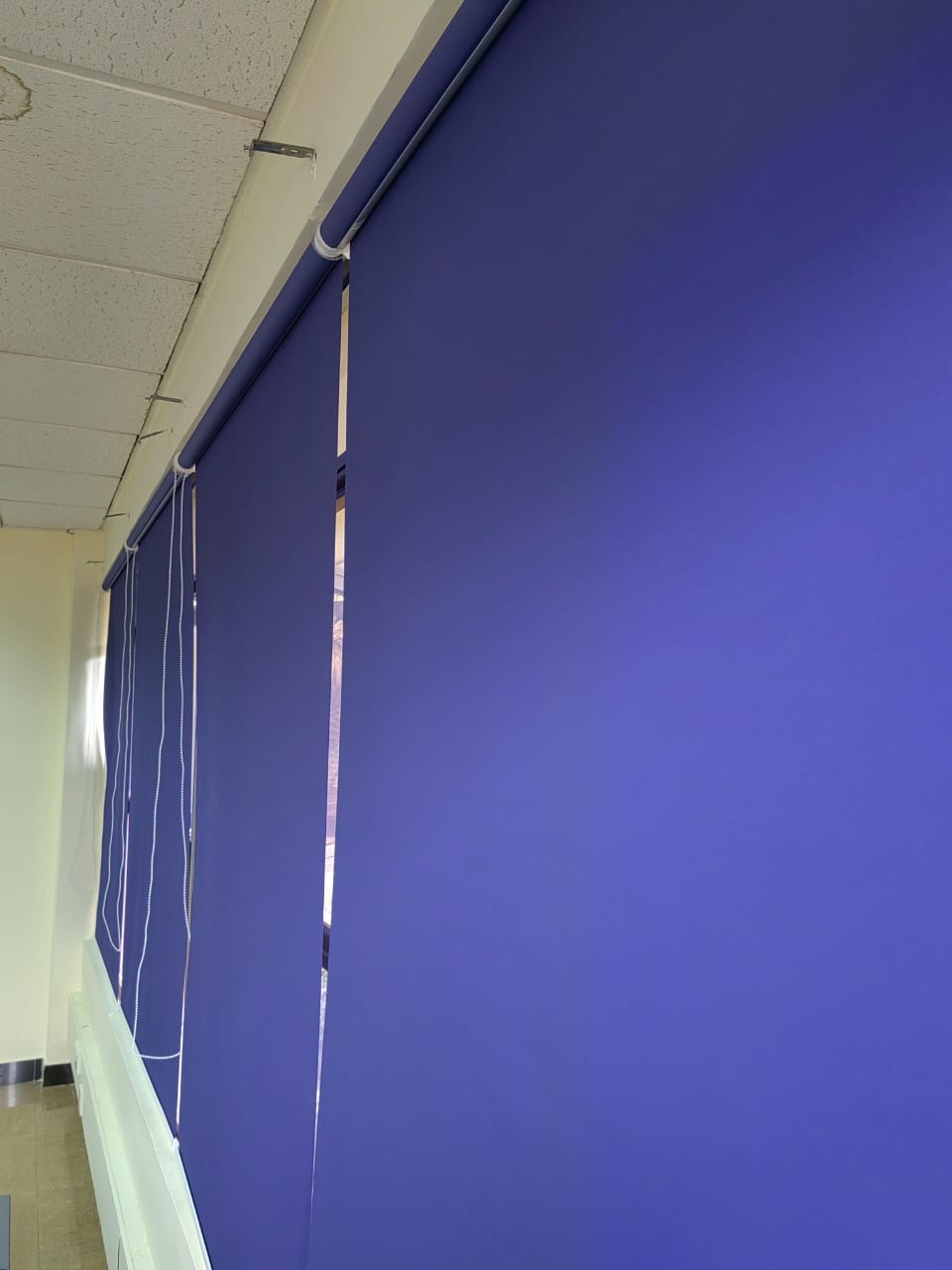 Blackout Blinds