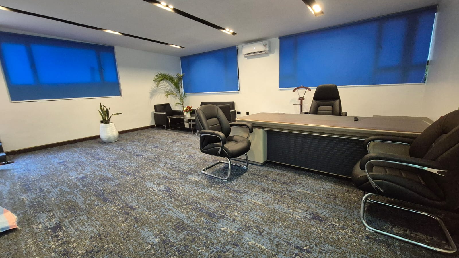 Roller Blinds