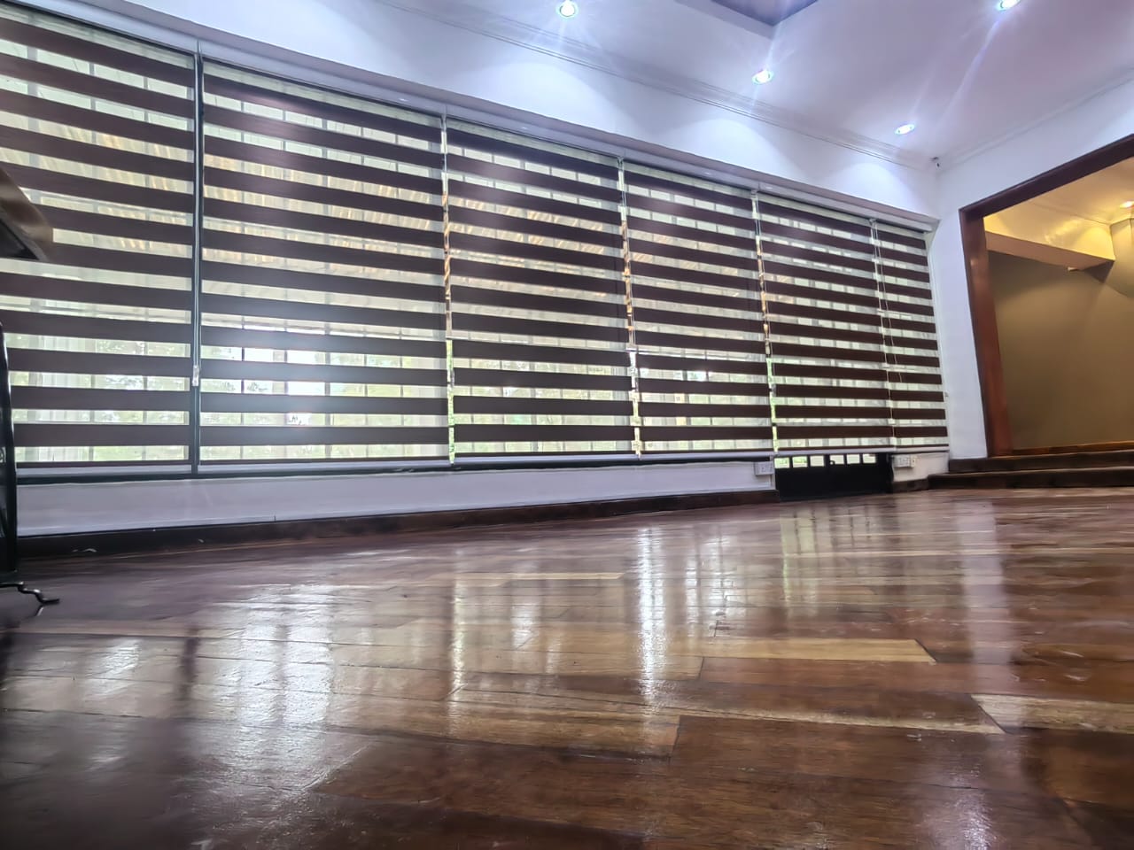 Zebra Blinds