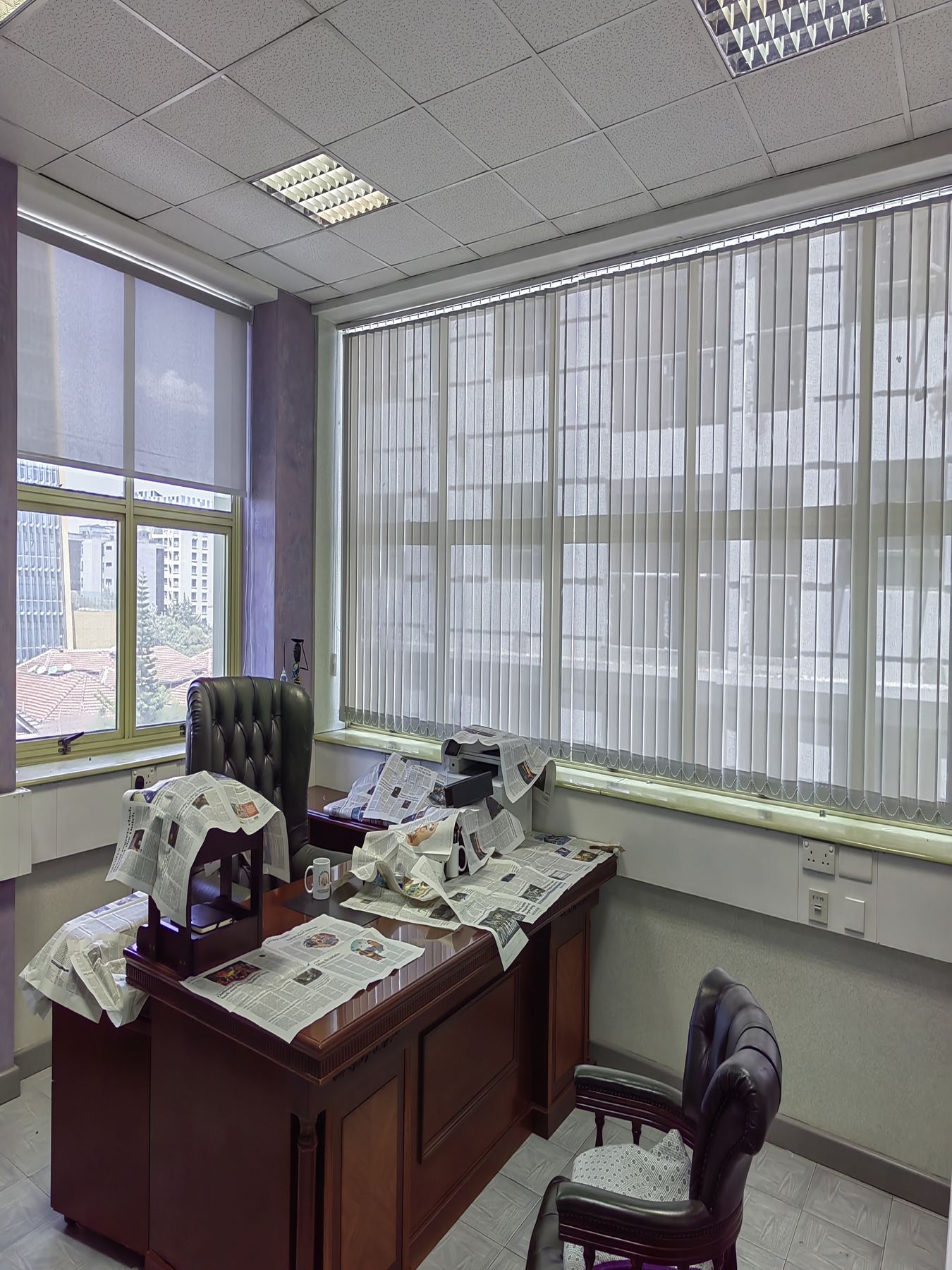 Window Blinds